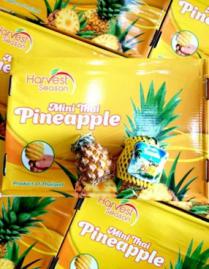Thai baby pineapples