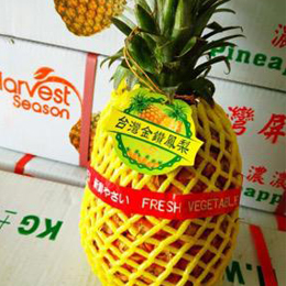 Taiwan pineapples